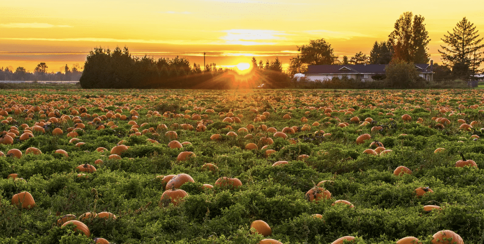 GHHN October 2023 Newsletter