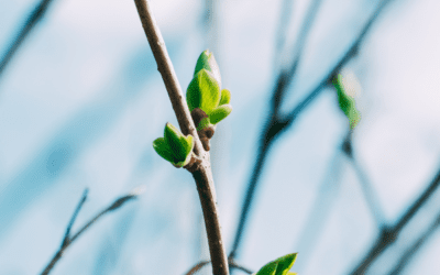 March 2024 GHHN Newsletter