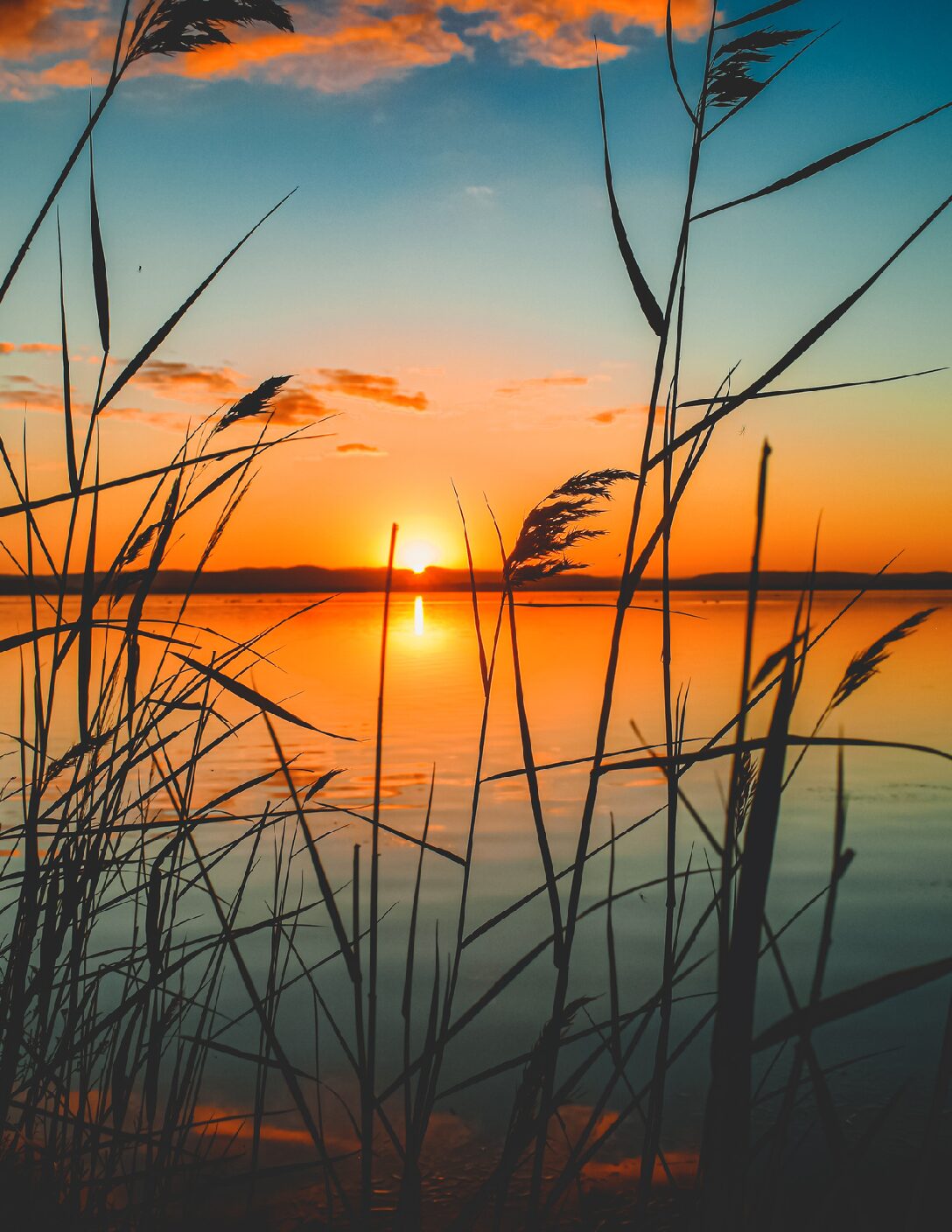 GHHN July 2025 Newsletter