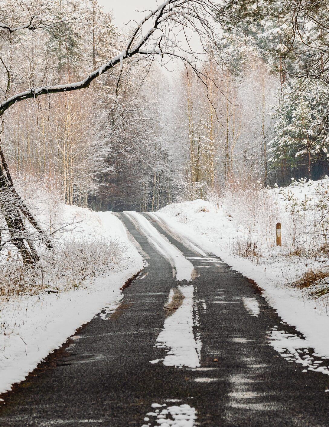 December 2025 GHHN Newsletter